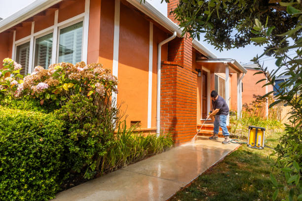Best House Pressure Washing  in The Villages, FL